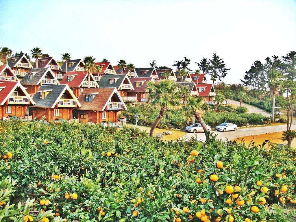 Jungmun Log Pension & Resort Seogwipo Exterior foto