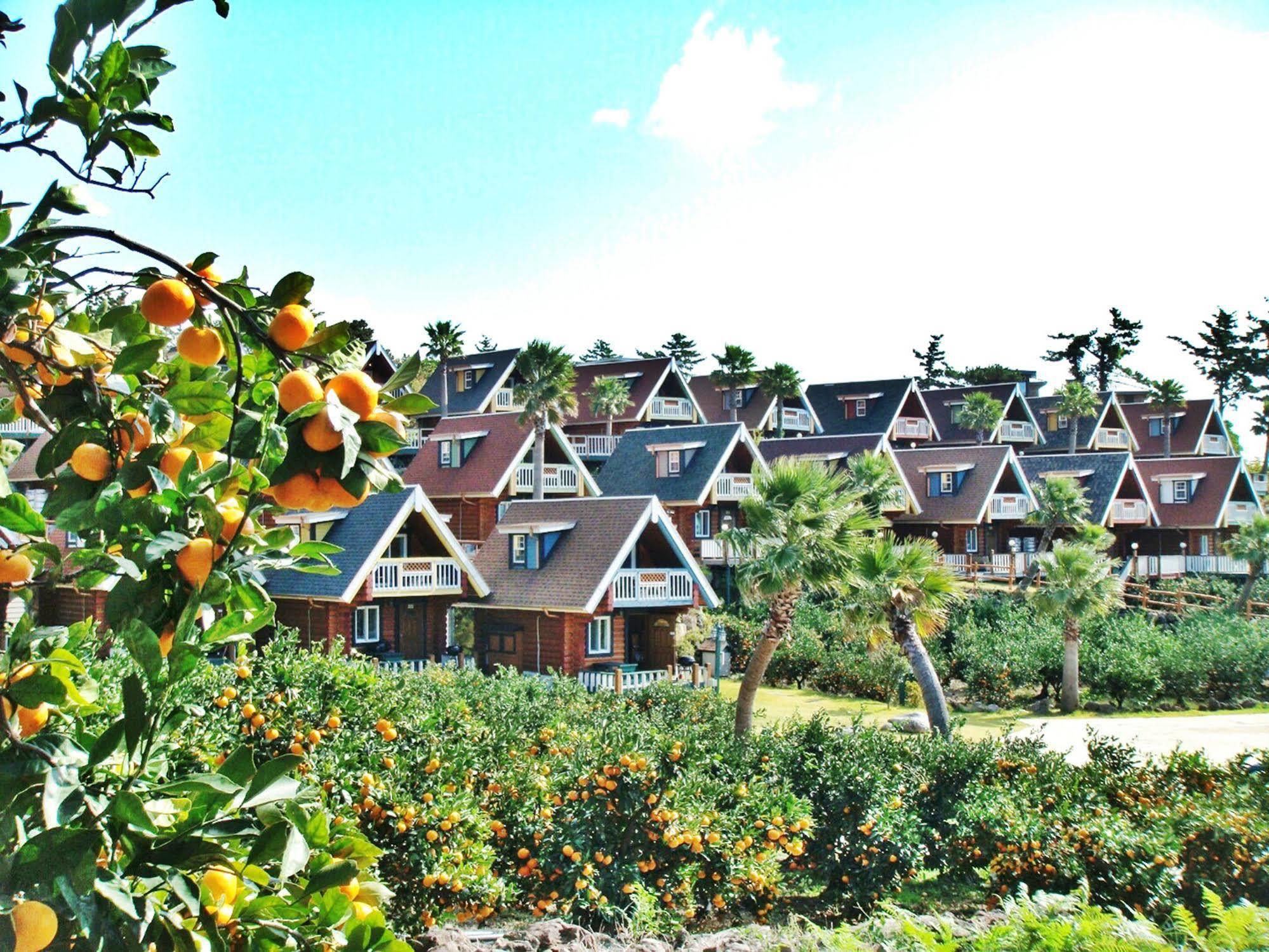Jungmun Log Pension & Resort Seogwipo Exterior foto